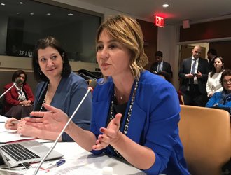 63. Birleşmiş Milletler Kadının Statüsü Komisyonu (CSW63) Türkiye Oturumu