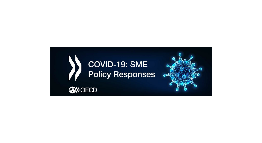 OECD CFE Mart 2020 Geçici Dönem Ekonomik Görünüm Raporu