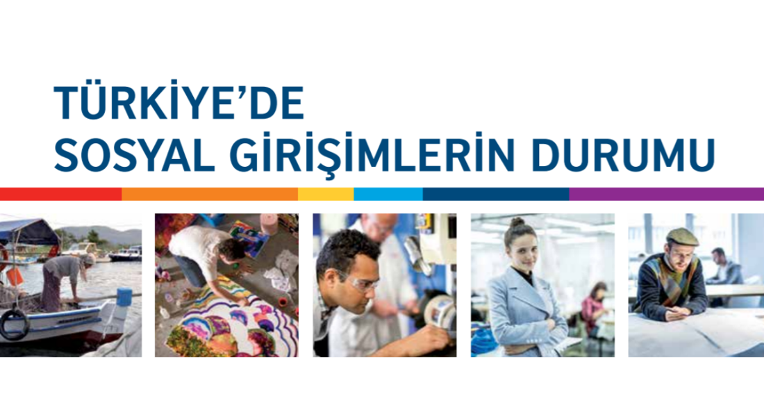 "Türkiye'de Sosyal Girişimlerin Durumu" Araştırma Raporu