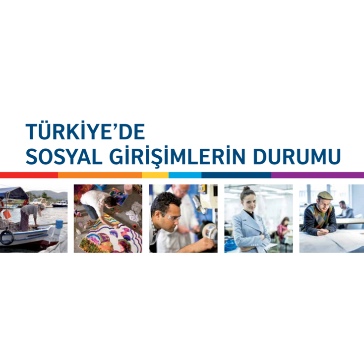 "Türkiye'de Sosyal Girişimlerin Durumu" Araştırma Raporu